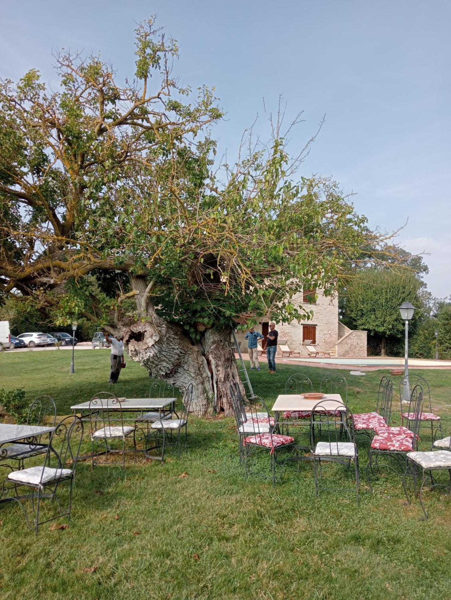 Bed & Breakfast Parco Ducale Urbania